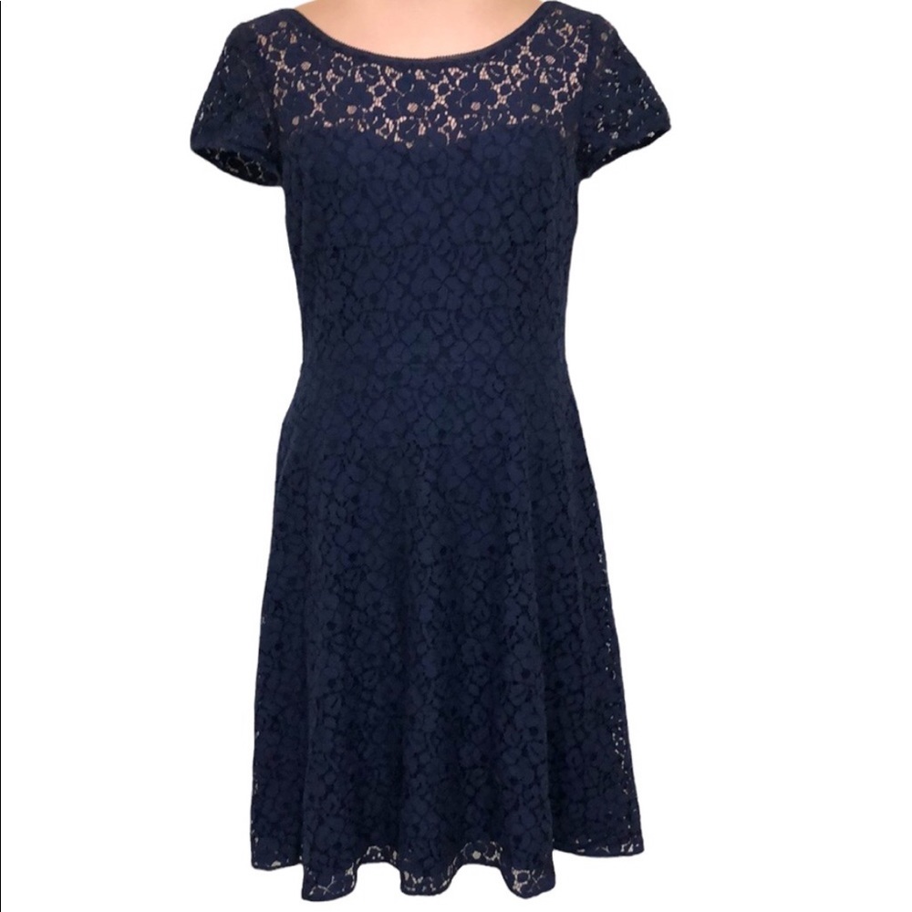 WHBM Navy Blue Lace cocktail dress Size 4